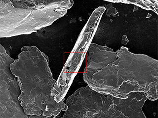 Miller Graphite SEM Images Miller Graphite SEM Images