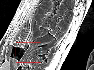 Miller Graphite SEM Images Miller Graphite SEM Images