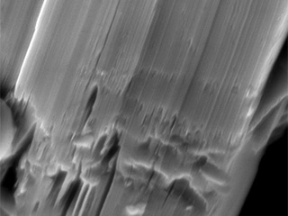 Miller Graphite SEM Images Miller Graphite SEM Images